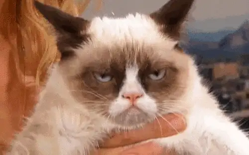 Grumpy cat